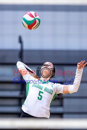 2 5 Ady Lopez-10