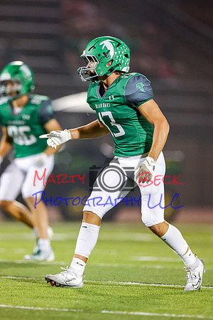 13 Verslues-62