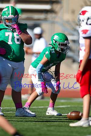 14 Hagner-7
