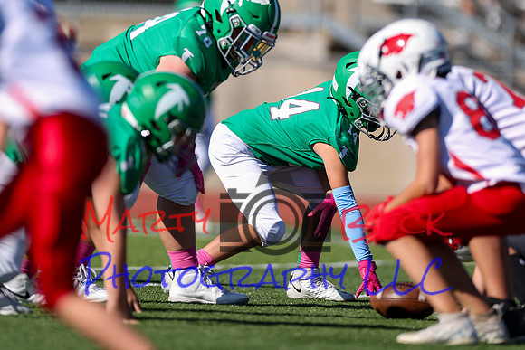 14 Hagner-9