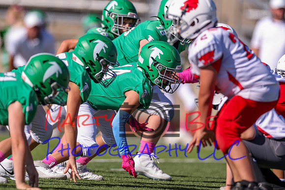 14 Hagner-14