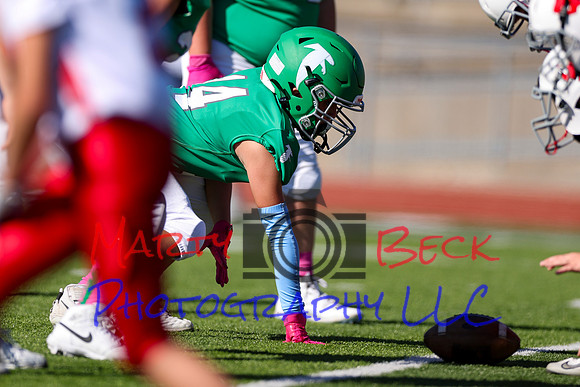 14 Hagner-16