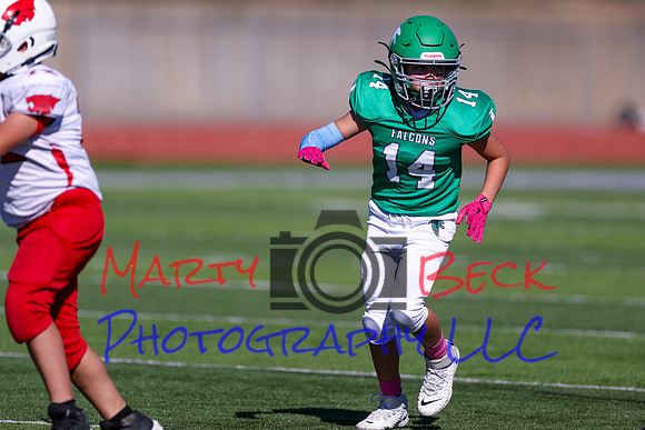 14 Hagner-22