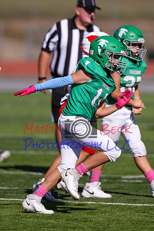 14 Hagner-26