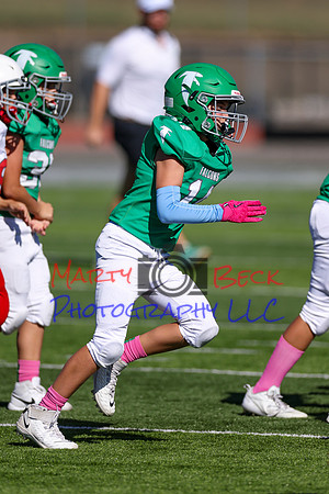14 Hagner-28