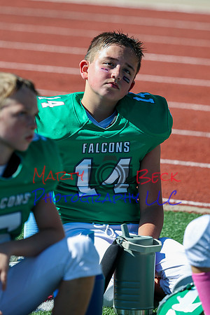 14 Hagner-45
