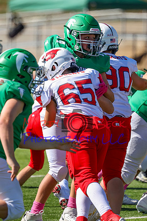 14 Hagner-50
