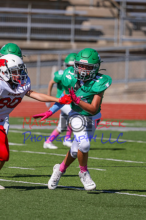 14 Hagner-56