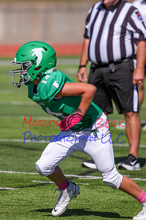 14 Hagner-60