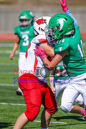 14 Hagner-62