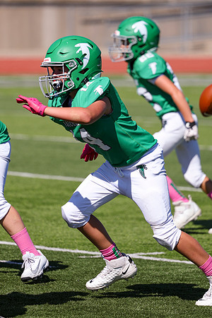 14 Hagner-71