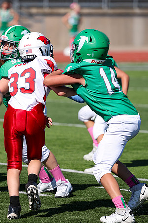 14 Hagner-72