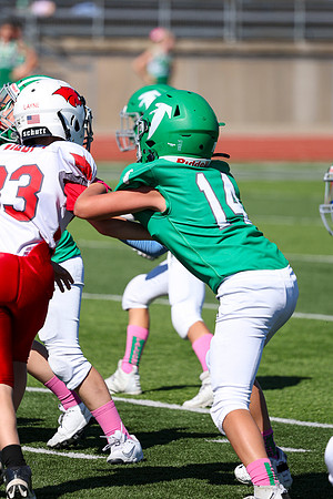 14 Hagner-73