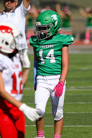 14 Hagner-74