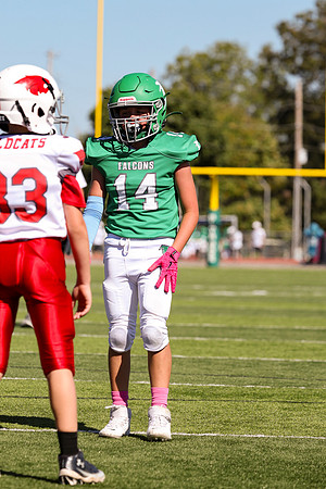 14 Hagner-77