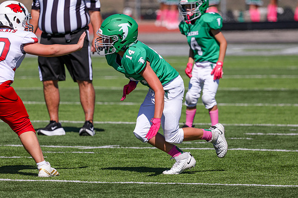 14 Hagner-85