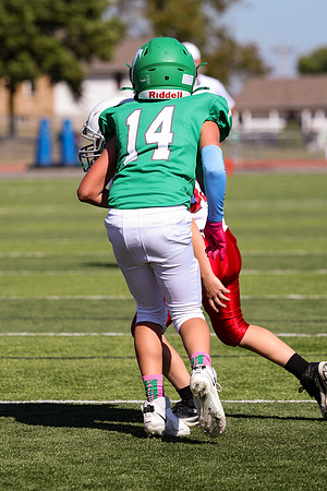 14 Hagner-84