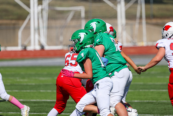14 Hagner-89