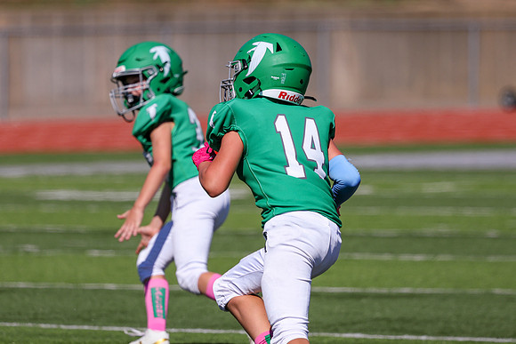 14 Hagner-90