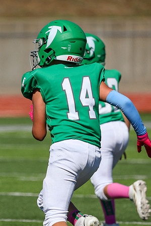 14 Hagner-92