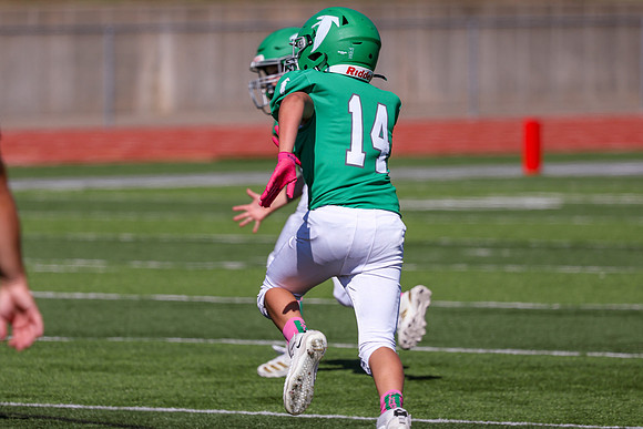 14 Hagner-91