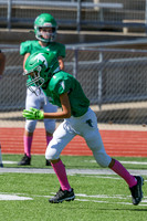 1 Webb-7