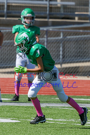 1 Webb-7