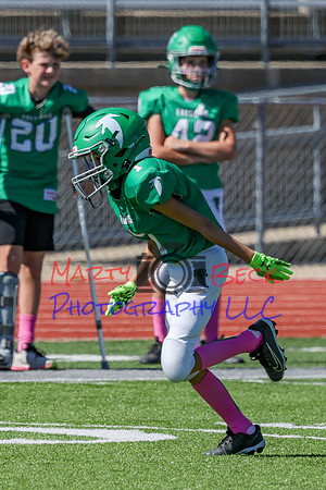 1 Webb-8