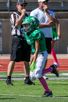 1 Webb-10