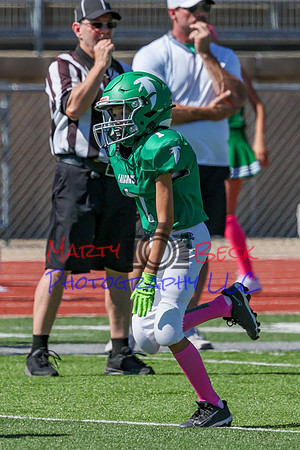 1 Webb-10