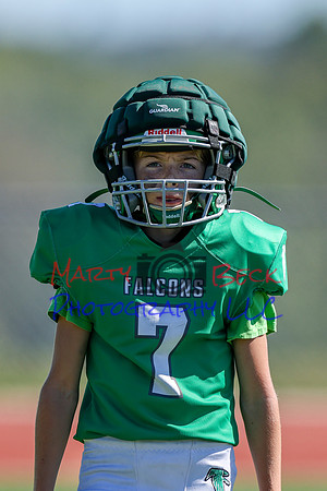 7 Bellin-5
