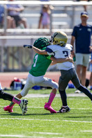 7 Bellin-7