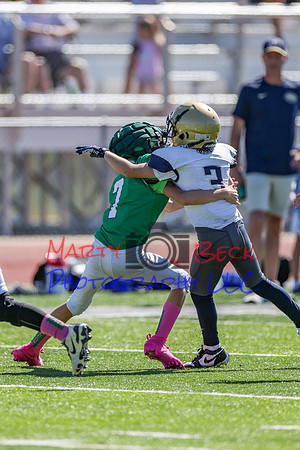 7 Bellin-7
