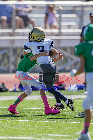 7 Bellin-8