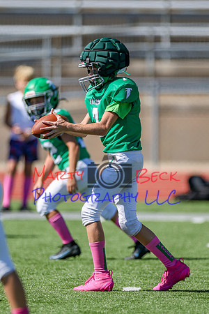 7 Bellin-21