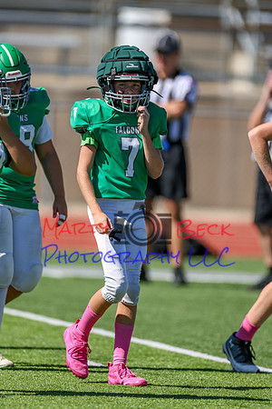 7 Bellin-42