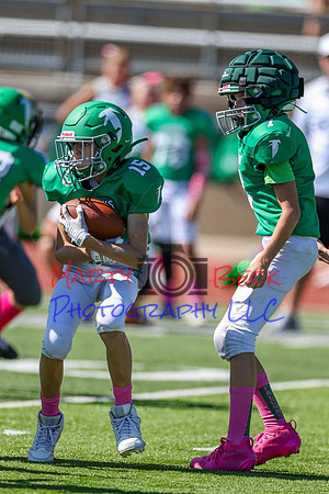 7 Bellin-46