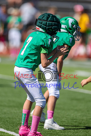 7 Bellin-48
