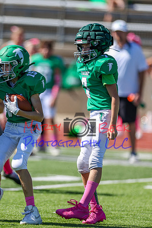 7 Bellin-47