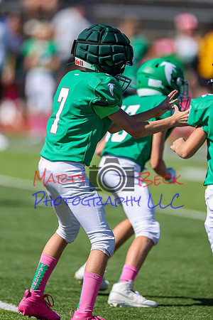 7 Bellin-49