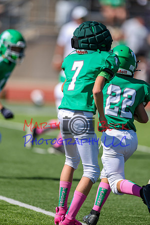 7 Bellin-51