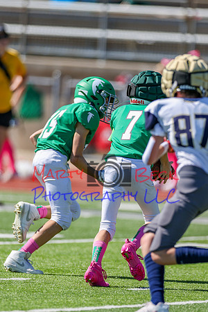 7 Bellin-58