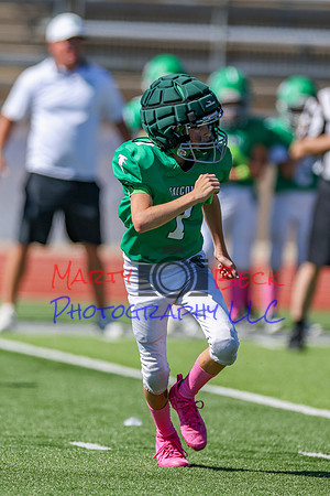 7 Bellin-61