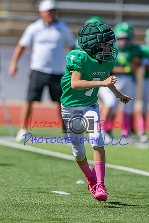 7 Bellin-62