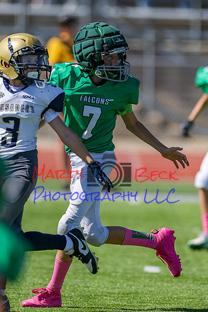 7 Bellin-64