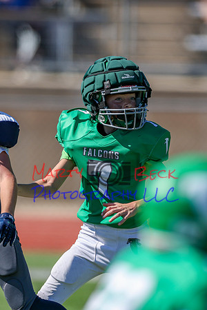 7 Bellin-65