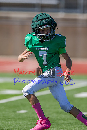 7 Bellin-66