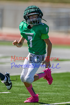 7 Bellin-71