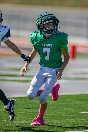 7 Bellin-72