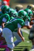 57 Rademan-5